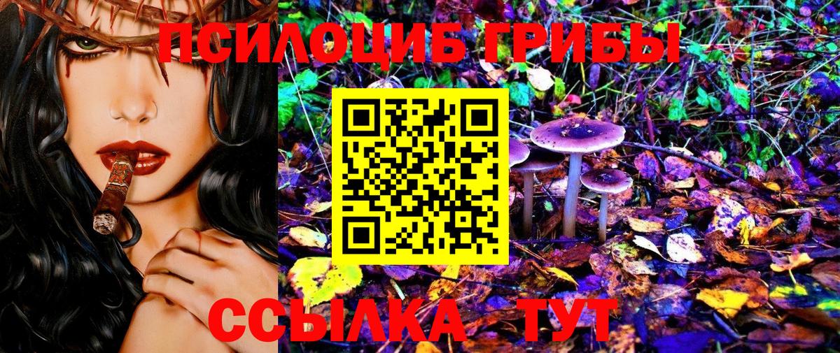 Псилоцибиновые грибы мицелий Кисловодск