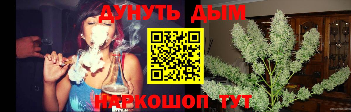 Конопля Ganja Кисловодск